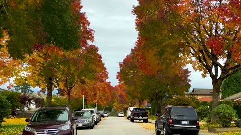 Autumn Street Stock Footage 140825071