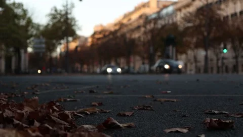 Autumn streets in Paris Stock Footage 261599062