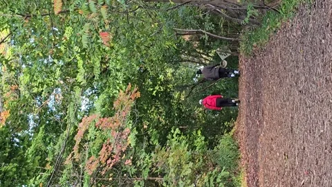 Autumn Stroll: A Couple's Walk on the Trail Stock Footage 287664616