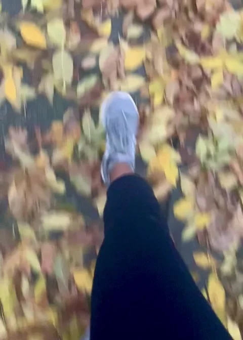 Autumn Stroll Vídeos de archivo 245490411