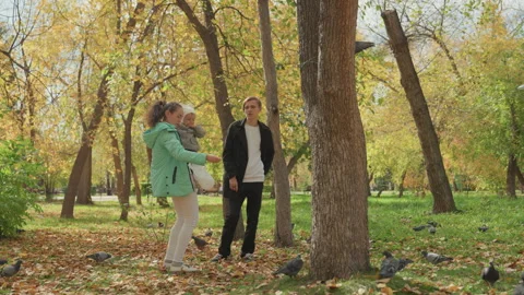 Autumn stroll showcasing tender affection. Couple shares intimate moment under Stock Footage 330426652