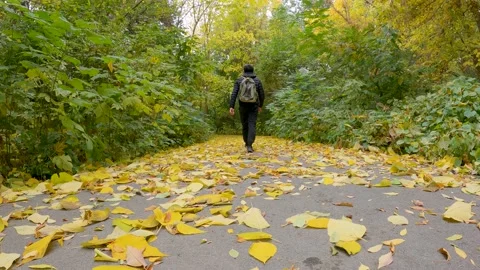 Autumn strolling Stock Footage 207091355