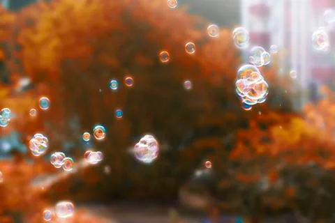 Autumn style background with soap bubbles. Bright yellow orange autumn leaves Stock Photos