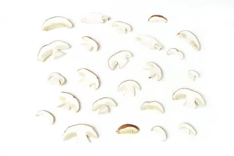 Autumn styled food pattern. Composition of sliced edible porcino mushrooms, cep Fotos Stock