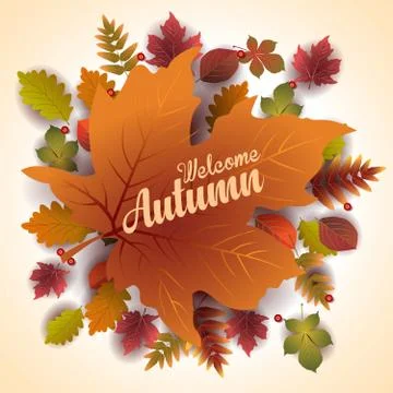 Autumn stylish background decorate with leaves and fruits. shopping sale web  Stock Illustration