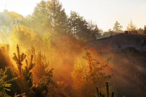 Autumn sun Stock Photos