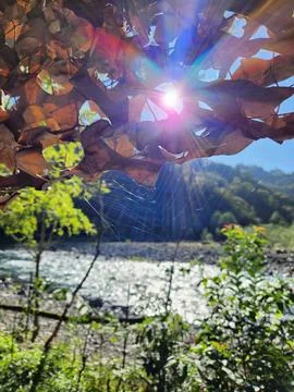 Autumn sun Stock Photos