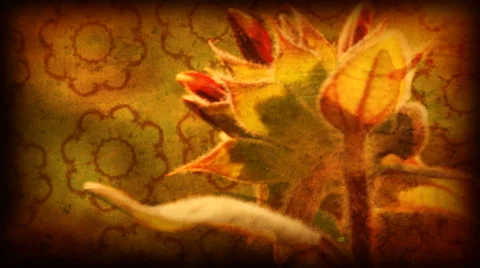 Autumn Sunflower Stock Footage 50788402