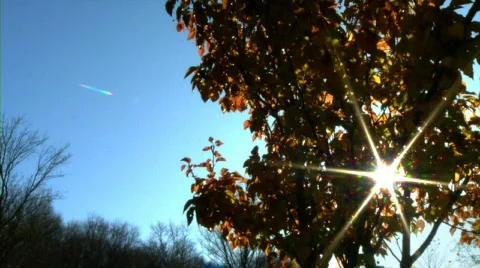 Autumn Sunlight 435 Stock Footage 563029