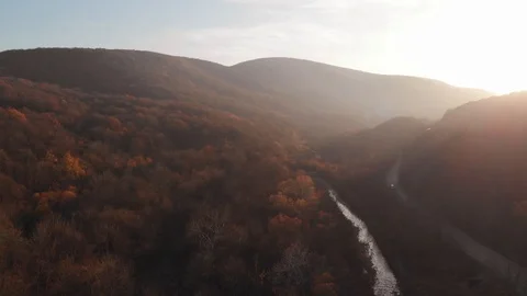 Autumn, sunlight, drone view of the forest area. Picturesque nature in October Stock Footage 119692379