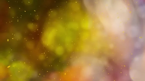 Autumn sunny nature bokeh with loop falling leaves Stock Footage 344145487