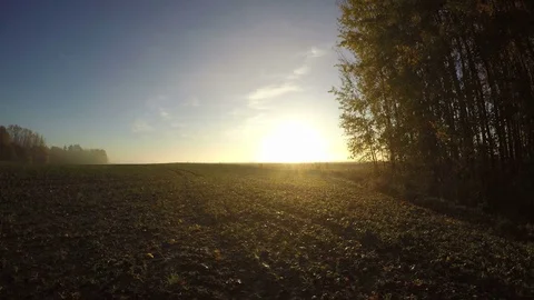 Autumn sunrise over misty fields and tree groves, time lapse 스톡 동영상 81382003