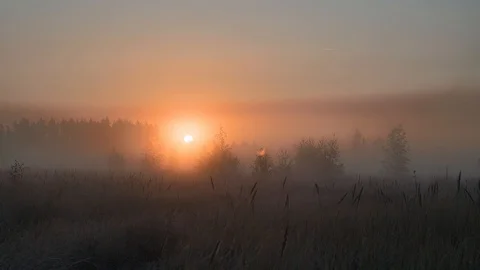 Autumn sunrise through the fog Stock Footage
