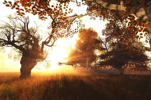 Autumn Sunset 02 Stock Illustration