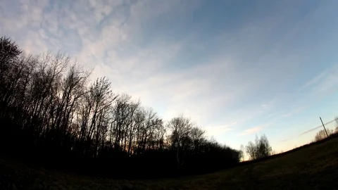 Autumn sunset with cirrus clouds and bare trees timelapse Stock Footage 91669782