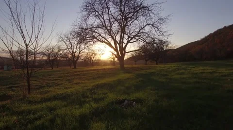 Autumn sunset Stock Footage 64075866