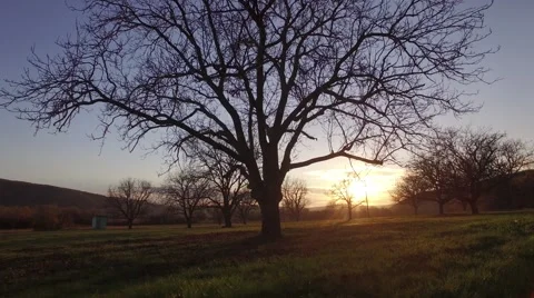 Autumn sunset Stock Footage 64077794