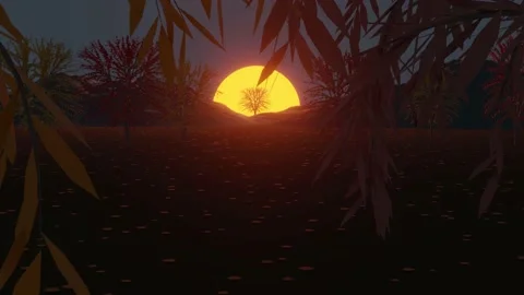 Autumn Sunset Stock Footage 229414000