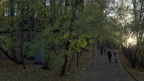 Autumn sunset in the park Video stock 219813919