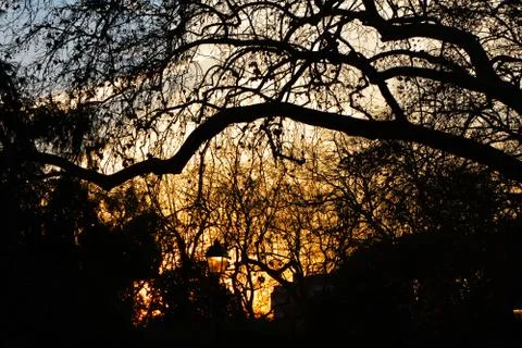 Autumn Sunset 스톡 사진