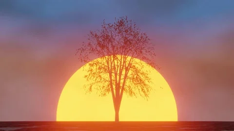 Autumn Sunset Sky Stock-Footage 229416725