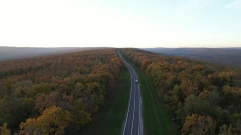 Autumn sunset into the woods Stock Footage 290044056