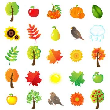 Autumn symbols and elements Stock Illustration