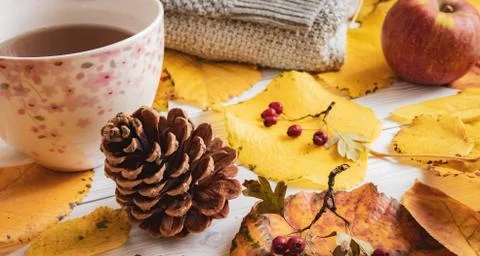 Autumn table concept Stock Photos
