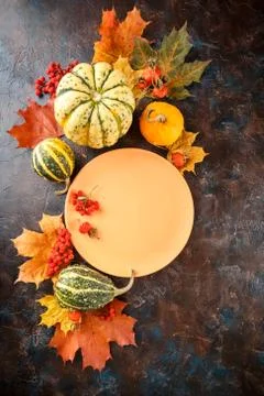 Autumn table setting. Stock Photos