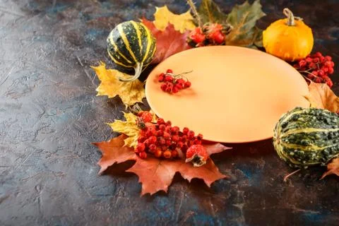 Autumn table setting. Stock Photos