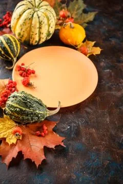 Autumn table setting. Stock Photos