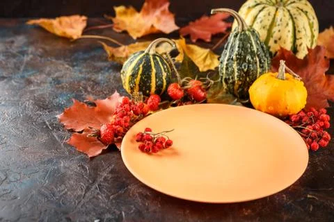 Autumn table setting. Stock Photos