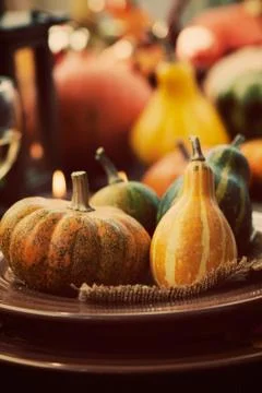 Autumn table setting with pumpkins Stock Photos