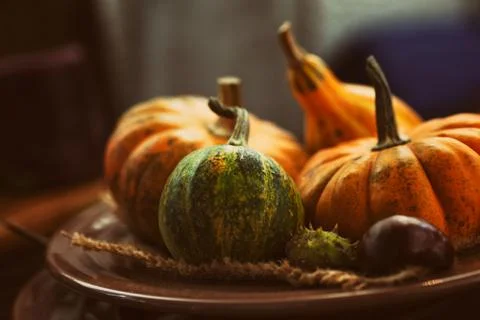 Autumn table setting with pumpkins Stock Photos