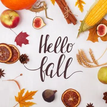 Autumn template with frame and text Hello Fall Stock Photos