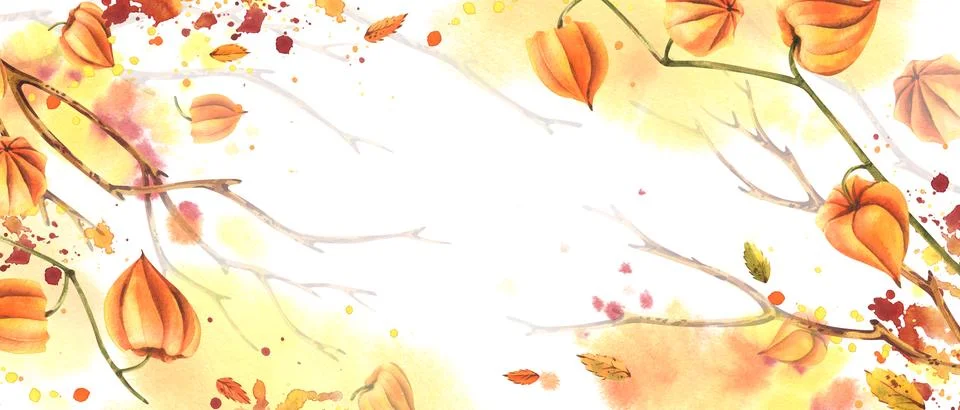 Autumn template, frame for text with orange physalis and tree branches Stock-Illustration