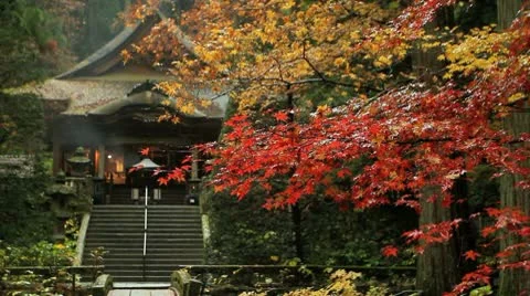 Autumn temple. Video stock 8996723