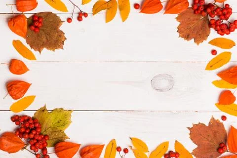Autumn text frame on white background Stock Photos