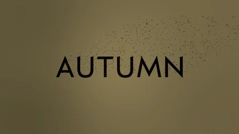Autumn Text Wind Dissolve Video stock 102476169