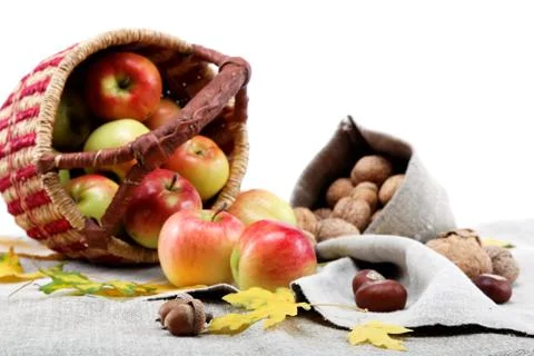 Autumn theme. apples and walnuts on linen canvas. Stock Photos