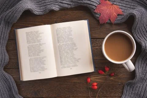 Autumn theme background with decorating elements, book and maple leaves on da Stock Photos