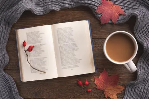 Autumn theme background with decorating elements, book and maple leaves on da Stock Photos