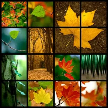 Autumn theme Illustrazione stock