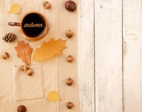 Autumn theme layout Stock Photos