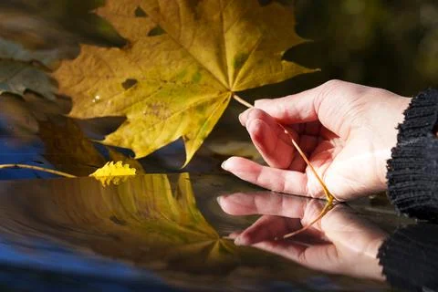 Autumn theme 库存照片