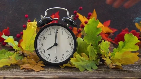 Autumn time - fall leaves with clock Stock Footage 80428501