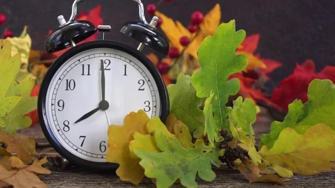 Autumn time - fall leaves with clock Stock Footage 81221136