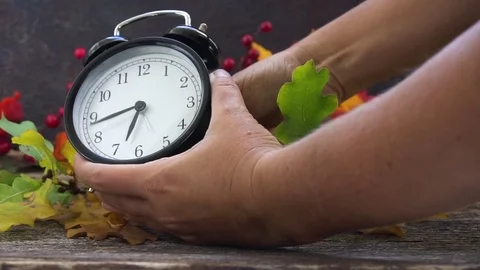 Autumn time - fall leaves with clock Stock Footage 81221229