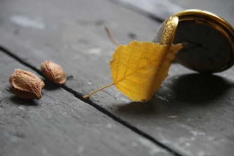 Autumn time idea Stock Photos