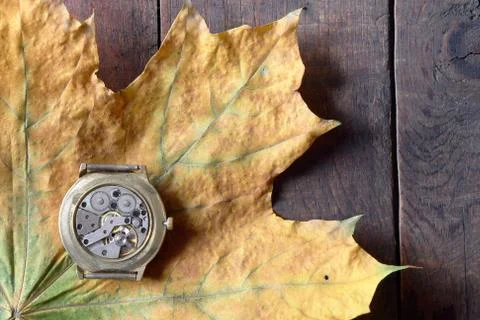 Autumn time Foto stock